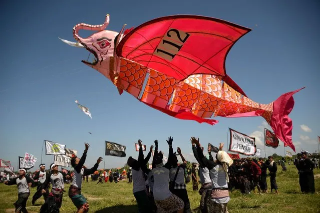 Balinese people fly their giant fish kite during a kite festival in Denpasar on Indonesia's resort island of Bali on July 23, 2016. The Bali kite festival celebrates the most extravagant Indonesian kites throughout the island to promote tourism and runs from July 22 to 24. (Photo by Sonny Tumbelaka/AFP Photo)