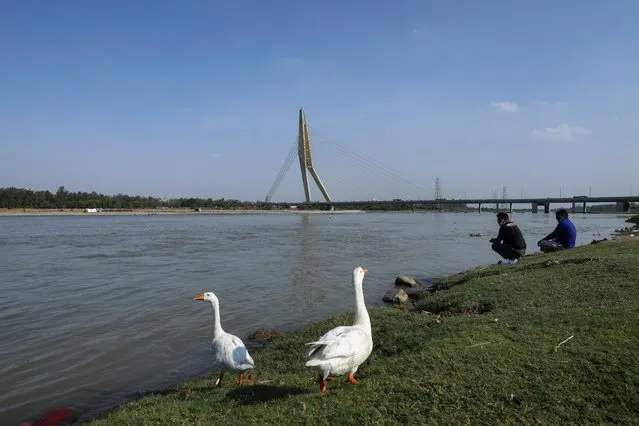 Birds walk on the bank of the river Yamuna on Earth Day next to two crouching men, near the Signature bridge, after air pollution level started to drop, during an extended nationwide lockdown to slow the spread of the coronavirus disease (COVID-19) in New Delhi, April 22, 2020. (Photo by Anushree Fadnavis/Reuters)