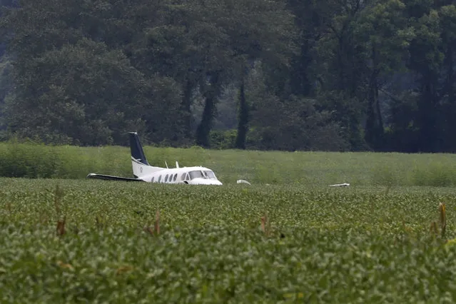 A stolen airplane rests in a field of soybeans after crash-landing near Ripley, Miss., on Saturday, September 3, 2022. Authorities say a man who stole a plane and flew it over Mississippi after threatening to crash it into a Walmart store faces charges of grand larceny and terroristic threats. Tupelo Police Chief John Quaka said Cory Wayne Patterson didn't have a pilot's license but had some flight instruction and was an employee of Tupelo Aviation. (Photo by Nikki Boertman/AP Photo)