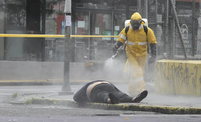 A worker from the city's forensic department sprays disinfectant over the body of a woman who died on a street in Quito, Ecuador, Thursday, May 14, 2020. Forensic workers at the scene conducted a COVID-19 rapid test and said the woman tested negative. (Photo by Dolores Ochoa/AP Photo)