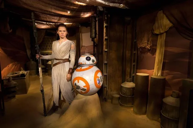 A wax figure of Star Wars character “Rey” played by British actress Daisy Ridley is pictured during a photocall at Madame Tussauds in central London on August 9, 2016. (Photo by Justin Tallis/AFP Photo)
