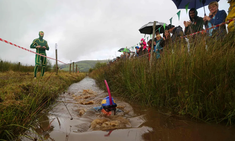 The 31st World Bog Snorkelling Championships