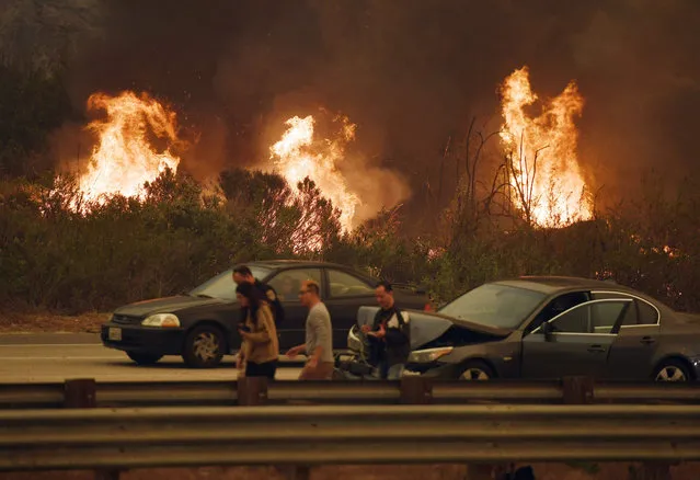 A woman involved in a traffic accident waits to get towed beside a wall of flames on the 101 highway during the Thomas wildfire near Ventura, California on December 6, 2017. California motorists commuted past a blazing inferno Wednesday as wind- whipped wildfires raged across the Los Angeles region, with flames triggering the closure of a major freeway and mandatory evacuations in an area dotted with mansions. (Photo by Mark Ralston/AFP Photo)