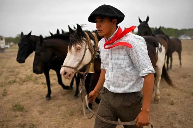A gaucho prepares his horses during the 83rd Tradition Festival in San Antonio de Areco, Argentina, on November 12, 2022. The celebration aims to preserve gaucho traditions. A gaucho is described as a country man, nomadic horseman and cowboy of the Argentine pampas. Is recognized for his skill in mastering the horse, raising and hunting wild cattle, in addition to his technique for the preservation and zason of one of the best meats in the world. (Photo by Luis Robayo/AFP Photo)