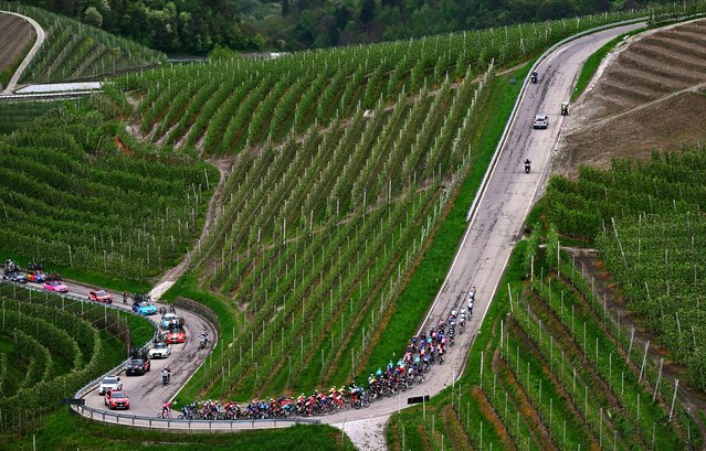 A general view of the peloton compete passing through a vineyards landscape climbing to the Sporminore (582m) during the 45th Tour of the Alps 2025, Stage 1 a 148.5km stage from San Lorenzo Dorsino to San Lorenzo Dorsino 731m / #UCIWT / on April 21, 2025 in San Lorenzo Dorsino, Italy. (Photo by Tim de Waele/Getty Images)
