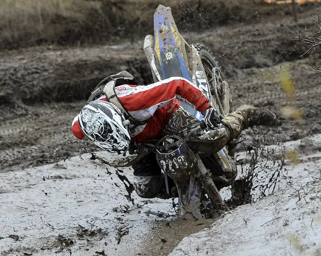 A rider falls into the mud during the Gotland Grand National enduro race at Tofta, outside Visby on the island of Gotland, Sweden, October 24, 2015. (Photo by Maja Suslin/Reuters/TT News Agency)