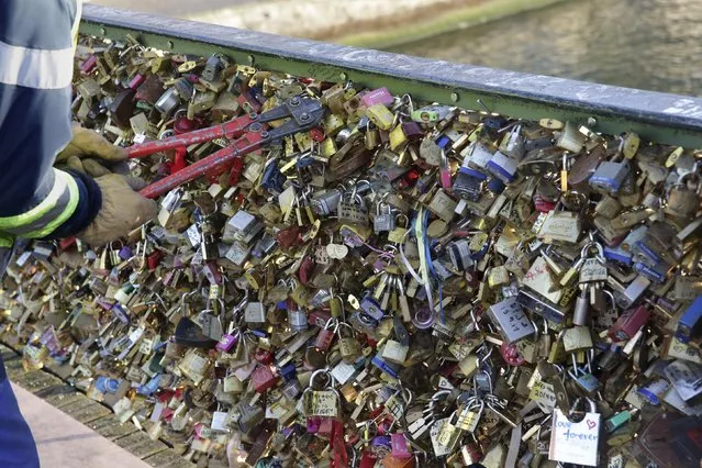 An employee of Paris city Hall removes padlocks clipped by lovers on the fence of the Pont des Arts over the River Seine in Paris, December 9, 2014. (Photo by Philippe Wojazer/Reuters)