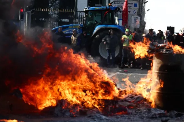 Farmers from Flanders, the Dutch-speaking northern portion of Belgium, take part in a protest against a new regional government plan to limit nitrogen emissions, in Brussels, Belgium, 03 March 2023. (Photo by Stephanie Lecocq/EPA/EFE/Rex Features/Shutterstock)