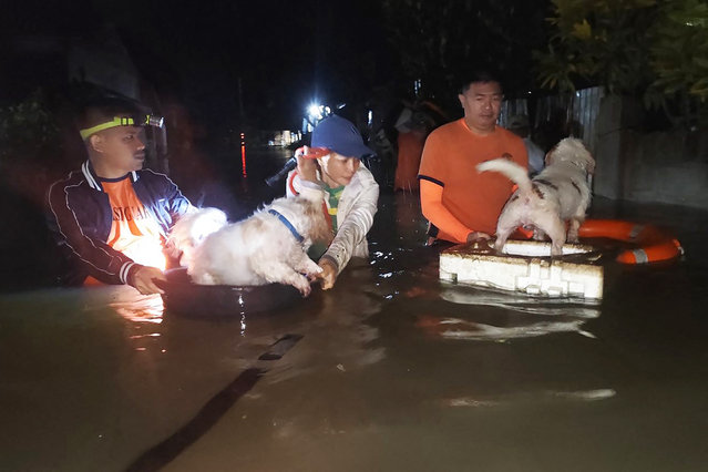 In this handout photo taken early September 26, 2025 and released by the Philippine Coast Guard (PCG), coast guard personnel evacuate residents along with their pets at the height of Severe Tropical Storm Bualoi in Ormoc City, Leyte province, central Philippines. The Philippines shut schools and scrapped flights on September 25, as a fresh storm threatened to hit just days after a super typhoon killed nine people in the archipelago. (Photo by Handout/Philippine Coast Guard (PCG)/AFP Photo)