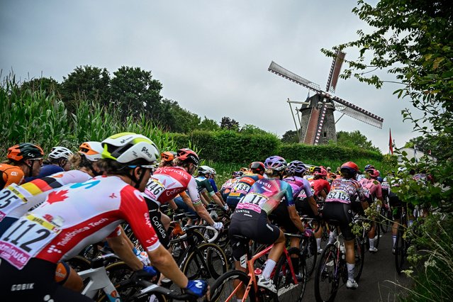 The pack of riders (peloton) compete during the 4th stage (out of 8) of the third edition of the Women's Tour de France cycling race, a 122.7 km between Valkenburg and Liege, on August 14, 2024. (Photo by Julien de Rosa/AFP Photo)