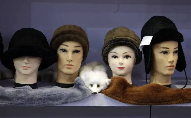 Fur hats are seen on display at the 2015 China Fur and Leather Products Fair in Beijing, January 15, 2015. Hundreds of domestic and foreign fur product companies take part in the fair which runs from January 13 to 16 at the National Convention Centre. (Photo by Jason Lee/Reuters)