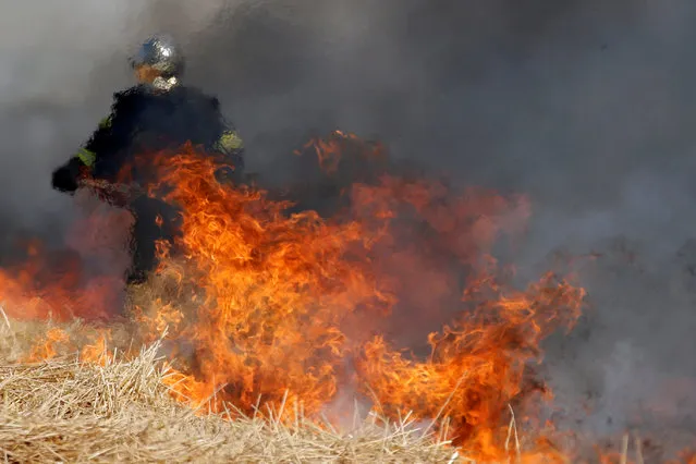 A French fireman uses a shovel behind flames in a burning field of barley during harvest season in Niergnies, France, July 17, 2018. (Photo by Pascal Rossignol/Reuters)
