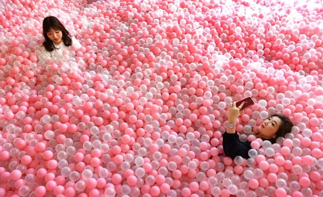 A visitor to Sugar Republic takes a selfie as she reclines in a display of balls resembling lollies in Melbourne on July 24, 2018. Sugar Republic is an interactive pop-up museum dedicated to the celebration of desserts, candy and all things sweet through 12 amazing sensory rooms. (Photo by William West/AFP Photo)