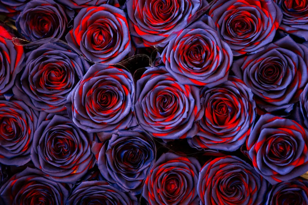 The Day in Photos – April 23, 2021