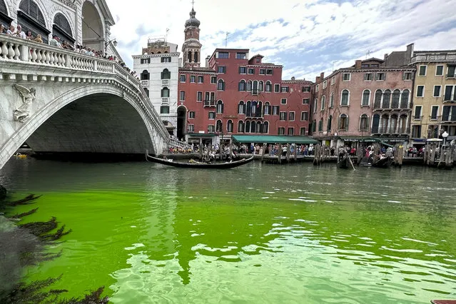 Gondolas navigate by the Rialto Bridge on Venice's historical Grand Canal as a patch of phosphorescent green liquid spreads in it, Sunday, May 28, 2023. The governor of the Veneto region, Luca Zaia, said that officials had requested the police to investigate to determine who was responsible, as environmental authorities were also testing the water. (Photo by Luigi Costantini/AP Photo)