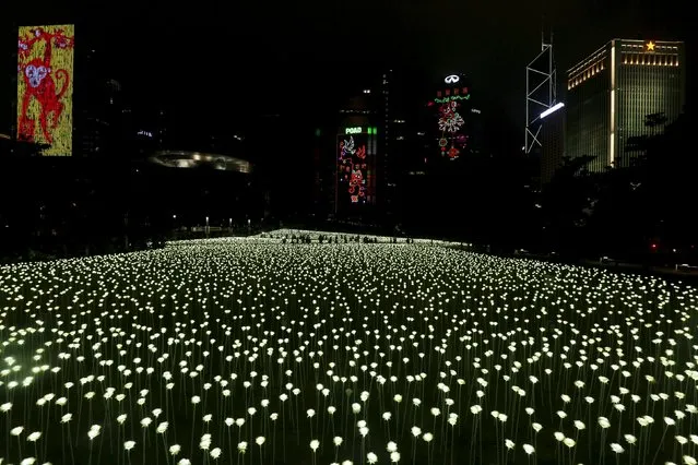 Illuminated white rose shaped LED lights, numbering a total of 25,000, are seen at Admiralty in Hong Kong, China February 13, 2016. Originating from Seoul in South Korea, the project “Light Rose Garden” is on display to celebrate Valentine's Day in Hong Kong, according to a press release from the organizers. (Photo by Bobby Yip/Reuters)