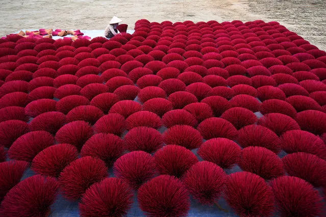 A woman arranges incense sticks to dry in a yard, in Quang Phu Cau village, Ung Hoa district, around 40km outskirts of Hanoi, Vietnam 17 January 2019. The village which is believed to start the making incense industry for more than 100 years ago, is now busy to prepare for the upcoming Lunar New Year. People have to split bamboo into splints first, dry them, put into the machines to create incense sticks then dye the sticks red. The incense in Quang Phu Cau village has been exported to many countries such as China, India, and Malaysia. (Photo by Luong Thai Linh/EPA/EFE)