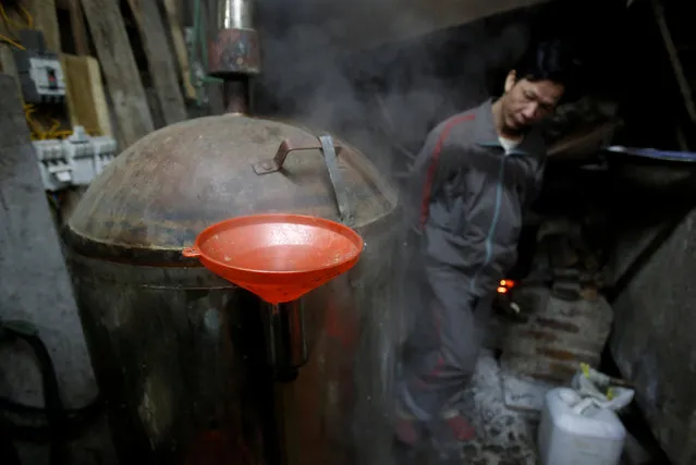 A man processes traditional alcohol for Tet, the lunar new year festival which will take place from January 28, at Xuan La village in Hanoi, Vietnam, January 22, 2017. (Photo by Reuters/Kham)