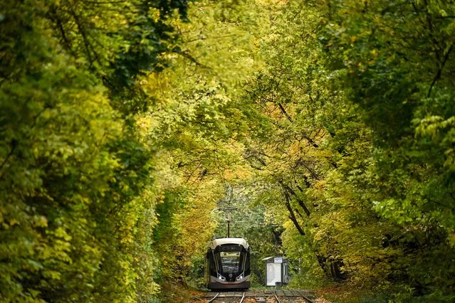 A tram goes through a park on an autumn day in Moscow on September 28, 2021. (Photo by Kirill Kudryavtsev/AFP Photo)