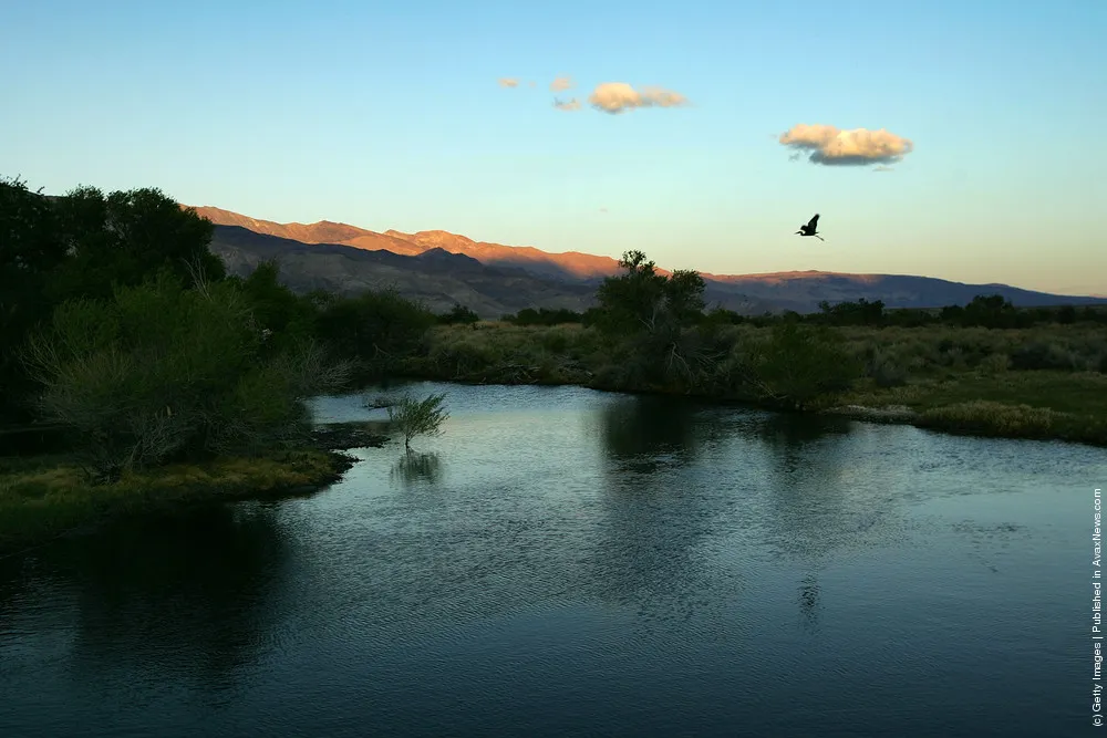 Landscapes Of Owens River And Owens Lake