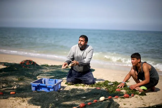 Palestinian fishermen take fish out of their net on a beach in Gaza City April 3, 2016. (Photo by Ibraheem Abu Mustafa/Reuters)