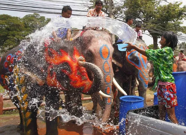 A girl splashes elephants with water in celebration of the Songkran water festival in Thailand's Ayutthaya province, April 9, 2014. (Photo by Chaiwat Subprasom/Reuters)