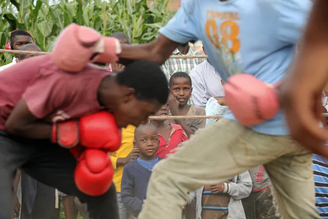 In this Saturday, February 12, 2017 photo, children follow a boxing match in Chitungwiza, Zimbabwe. (Photo by Tsvangirayi Mukwazhi/AP Photo)