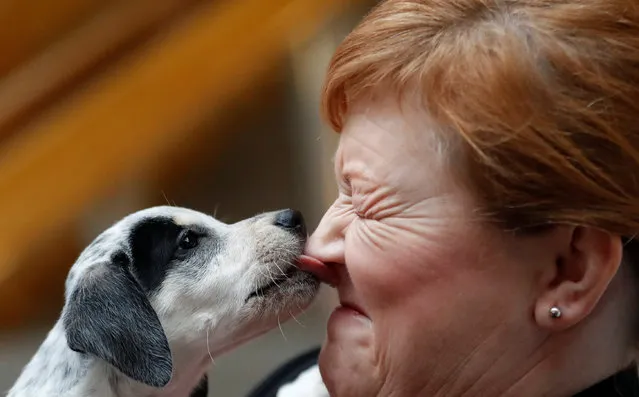 Emma Harper MSP raises awareness of the illegal puppy trade and responsible ownership at a photocall in the Scottish Parliament in Edinburgh, Scotland, Britain, December 19, 2019. (Photo by Russell Cheyne/Reuters)