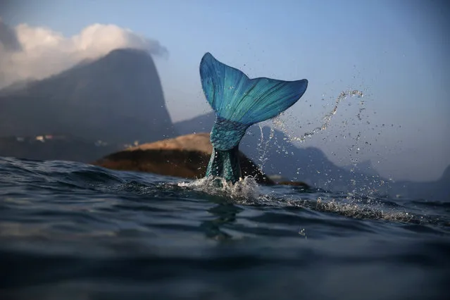 Mermaid and diving instructor Luciana Fuzetti trains whilst wearing a mermaid tail in the Tijucas Islands in Rio de Janeiro, Brazil July 22, 2017. (Photo by Pilar Olivares/Reuters)