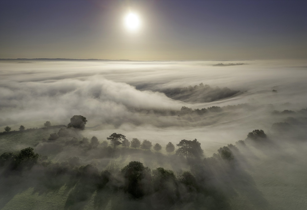 Some Photos: Foggy Day