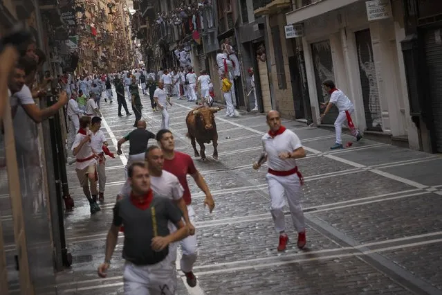 A Cebada Gago's ranch fighting bull chase revelers during the running of the bulls in Pamplona, Spain, Friday, July 8, 2016. A hospital official says five people were gored by fighting bulls in a hair-raising second running of the bulls at Pamplona's San Fermin festival. Several of the six bulls used in the run Friday got separated from the pack and began charging whatever came in sight, creating many moments of fear and tension. (Photo by Daniel Ochoa de Olza/AP Photo/ANSA)