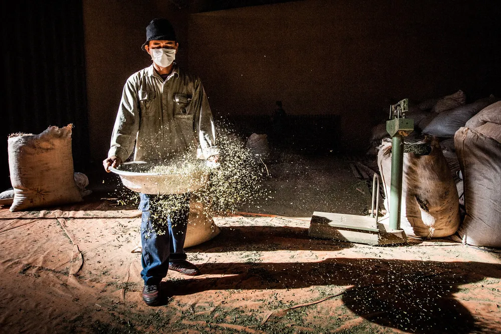 CGAP Photo Contest: Low-Income Entrepreneurs who Work Extremely Hard