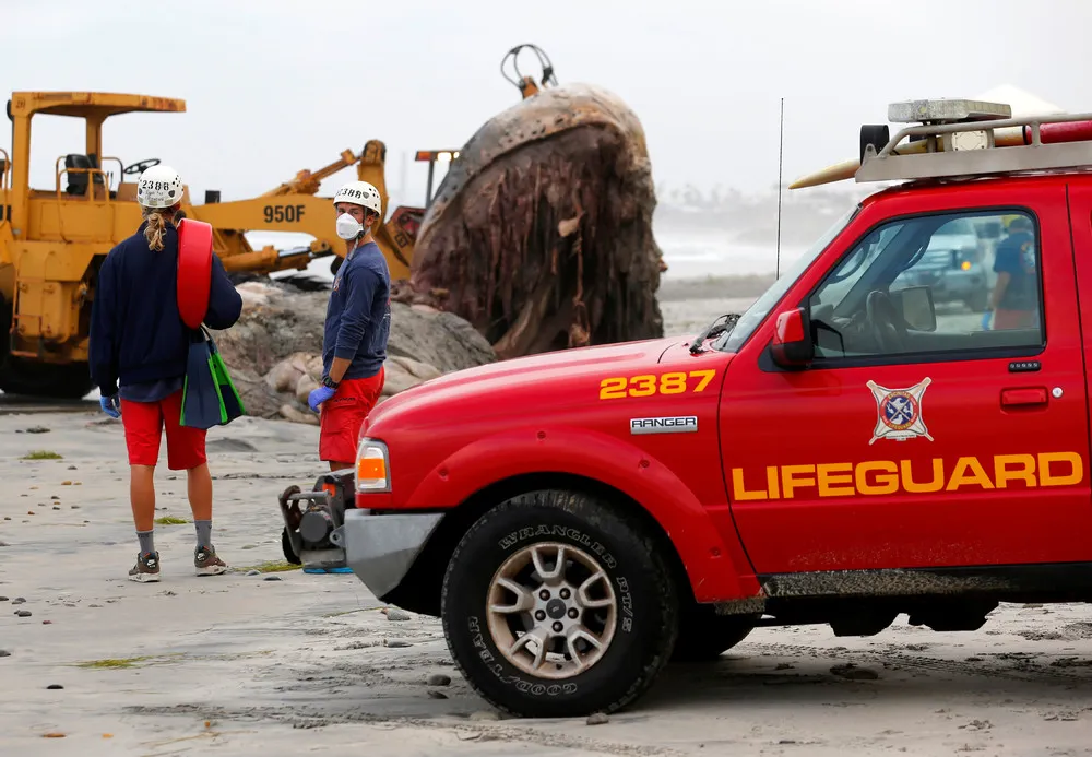 End of Wally the Whale