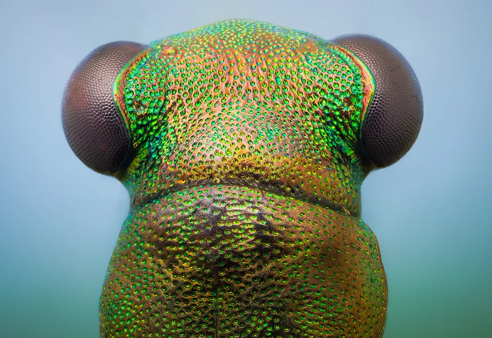 Minimonsters of John Hallmén. Part II