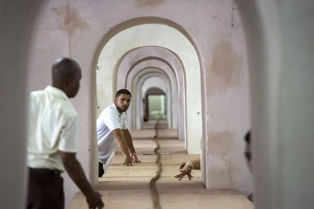Workers help Cuban cigar roller Jose “Cueto” Castelar, not pictured, hand roll a 90-meter cigar, stretching through many rooms, in Havana, Cuba, Friday, August 12, 2016. The Cuban cigar roller beat his own record on Friday for the world's longest hand rolled cigar, creating a 90-meter specimen in honor of former leader Fidel Castro's 90th birthday, celebrated Saturday. (Photo by Desmond Boylan/AP Photo)