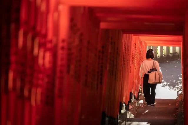 A young woman walks down stairs under a line of red “torii” or gates during a visit to Hie Shrine in central Tokyo on November 3, 2022, as the country marks the Culture Day public holiday. (Photo by Richard A. Brooks/AFP Photo)