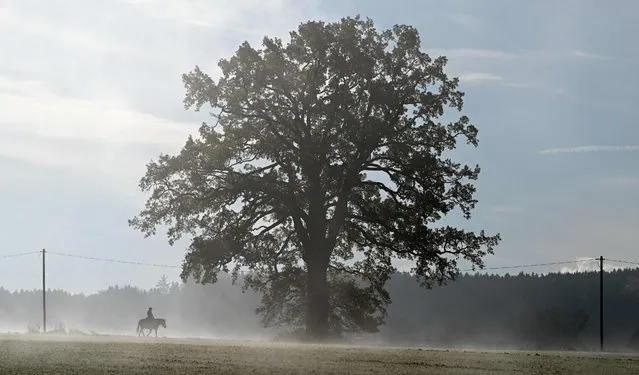 A woman rides a horse during a foggy morning near the small Bavarian village of Alling, southern Germany, on November 14, 2022. (Photo by Christof Stache/AFP Photo)