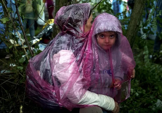 Migrants protect themselves from the rain as they wait to cross the Croatian border near the village of Berkasovo, Serbia October 19, 2015. (Photo by Marko Djurica/Reuters)