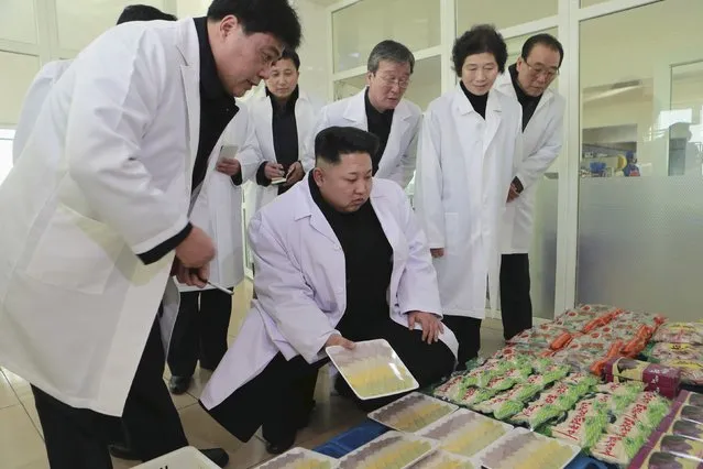 North Korean leader Kim Jong Un (C) provides field guidance at Kumkop General Foodstuff Factory for Sportspersons in this undated photo released by North Korea's Korean Central News Agency (KCNA) in Pyongyang January 18, 2015. (Photo by Reuters/KCNA)