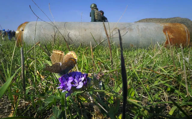 A butterfly sits on a flower near a fragment of a rocket after shelling by Azerbaijan's artillery in Stepanakert,  in the separatist region of Nagorno-Karabakh, Tuesday, October 20, 2020. Armenia and Azerbaijan reported more fighting on Tuesday over the separatist territory of Nagorno-Karabakh, where clashes have continued for over three weeks despite two attempts at establishing a cease-fire. (Photo by AP Photo/Stringer)