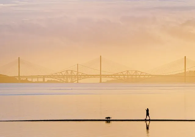 A dog and its owner go Forth along a tiny strip of sand at Carriden in Bo'ness, Scotland on October 26, 2022, with the famous bridges in the background. (Photo by David Queenan/Animal News Agency)