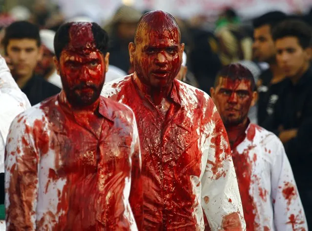 Iraqi Shiite Muslim men are seen after flagellating themselves on the tenth day of the mourning period of Muharram, which marks the day of Ashura, in the holy city of Najaf on October 12, 2016. Ashura mourns the death of Imam Hussein, a grandson of the Prophet Mohammed, who was killed by armies of the Yazid near Karbala in 680 AD. (Photo by Haidar Hamdani/AFP Photo)