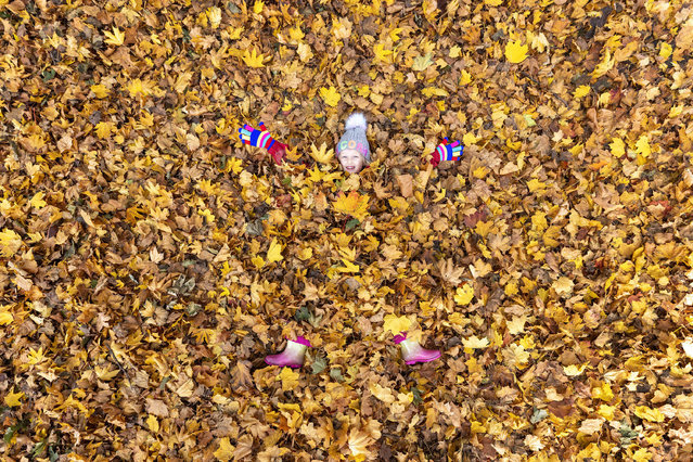 6 year old Holly plays in the fallen autumn leaves this morning at Temple Newsam park in Leeds, Yorkshire, UK on October 19, 2025. (Photo by Andrew McCaren/London News Pictures)