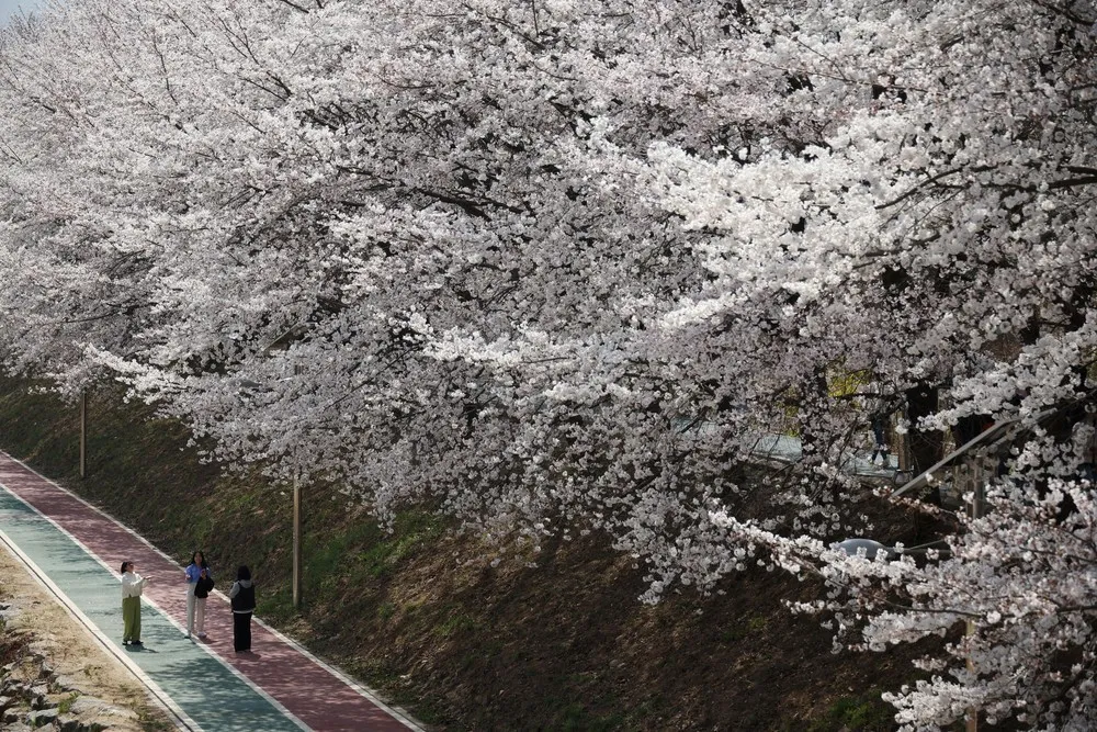 A Look at Life in South Korea, Part 1/2