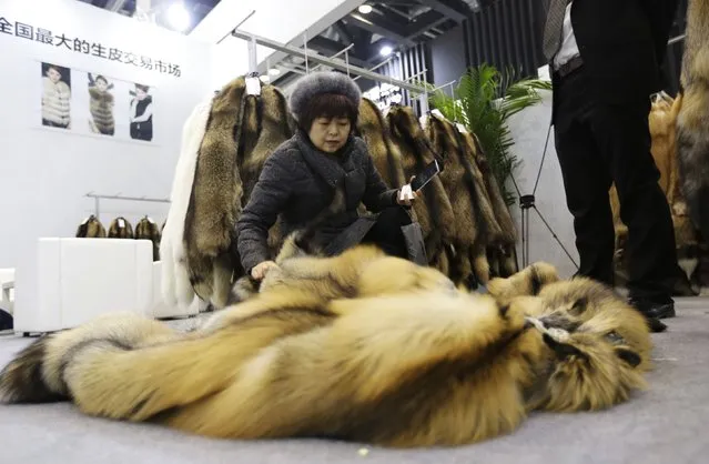 A buyer checks the quality of the fur of farmed fox on display at the 2015 China Fur and Leather Products Fair in Beijing, January 15, 2015. (Photo by Jason Lee/Reuters)