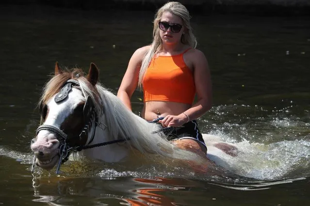 A horse is ridden out of the River Eden after being washed on the first day of the Appleby Horse Fair on June 7, 2018 in Appleby, England. The fair is an annual gathering for Gypsy, Romany and travelling communities. The event has existed under the protection of a charter granted by James II since 1685 and it remains one of the key meeting points for these communities. Around 10,000 travellers are expected to attend the event who traditionally come to buy and sell horses and it offers an opportunity for the traveller community to come together to celebrate their heritage and culture. (Photo by Ian Forsyth/Getty Images)