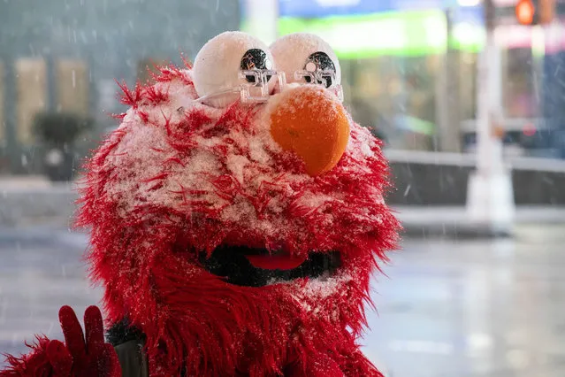 A person wearing a mask of Elmo walks around Times Square during the pass of the snowstorm on January 31, 2021 in New York City. New York City Mayor Bill de Blasio declared a state of emergency order due to the arriving storm that's expected to wallop New York, where airports are expected to cancel the majority if their flights. (Photo by Eduardo Munoz Alvarez/VIEWpress)