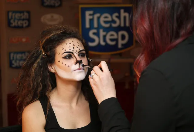 Guest enjoys MEOW-velous films and festivities at the third annual Fresh Step Catdance Film Festival on Saturday, January 24, 2015, in Park City, Utah. (Photo by Jack Dempsey/Invision for Fresh Step Litter/AP Images)