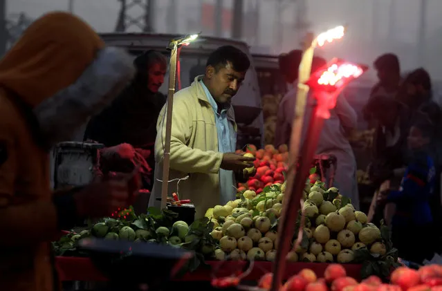 A man arranges guavas on a cart while waiting for customers along a roadside in Islamabad, Pakistan November 30, 2016. (Photo by Faisal Mahmood/Reuters)