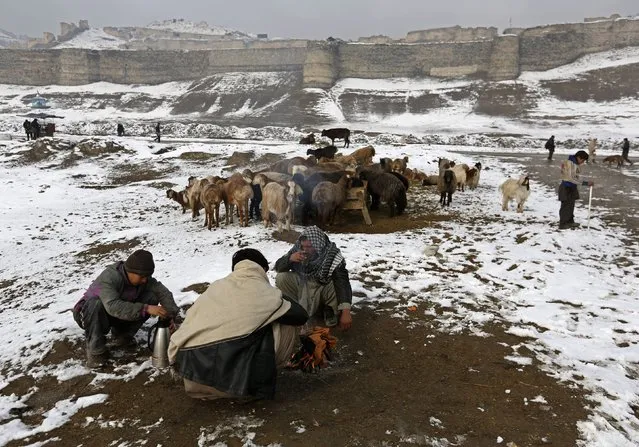 Afghans have tea as they sell sheep in an open livestock market near Bala Hissar, an old fortress in Kabul January 25, 2015. (Photo by Mohammad Ismail/Reuters)